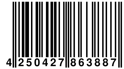 4 250427 863887