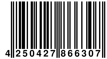 4 250427 866307