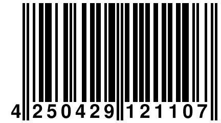 4 250429 121107