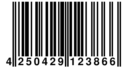 4 250429 123866