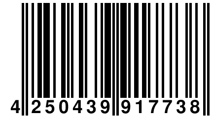 4 250439 917738