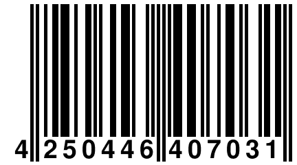 4 250446 407031