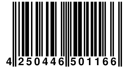 4 250446 501166