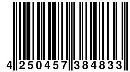 4 250457 384833