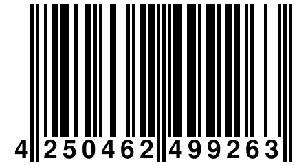 4 250462 499263