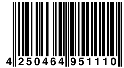 4 250464 951110