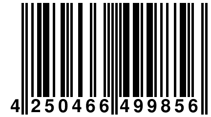 4 250466 499856