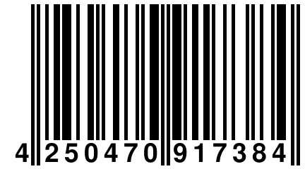 4 250470 917384