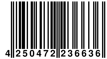 4 250472 236636