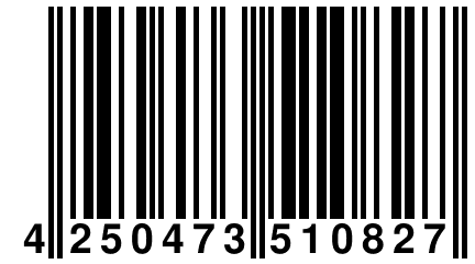4 250473 510827