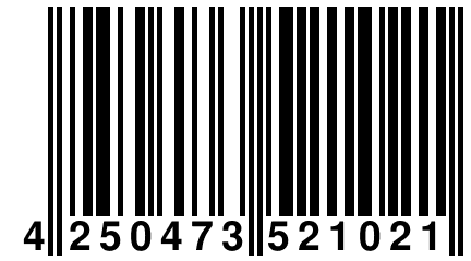 4 250473 521021