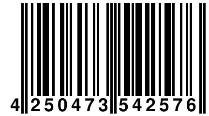 4 250473 542576
