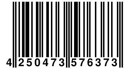 4 250473 576373