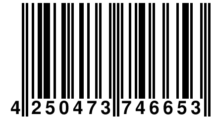 4 250473 746653