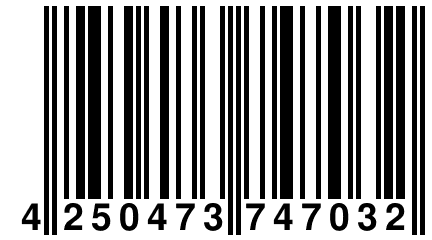 4 250473 747032