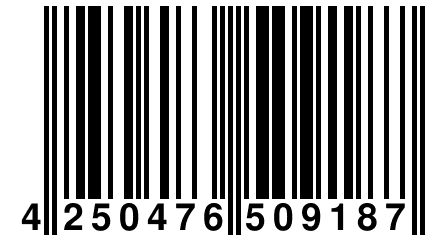 4 250476 509187