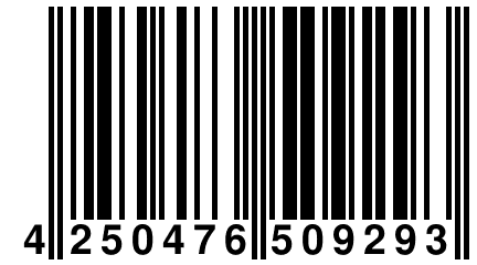 4 250476 509293