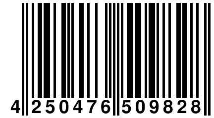 4 250476 509828