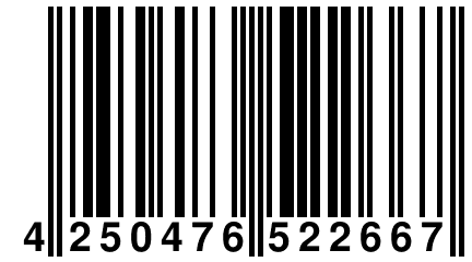 4 250476 522667