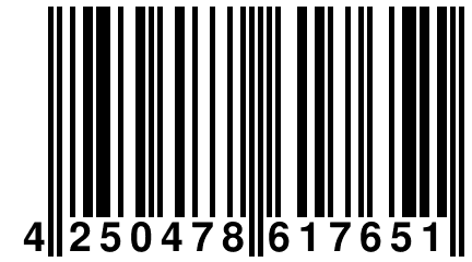 4 250478 617651