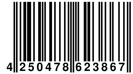 4 250478 623867