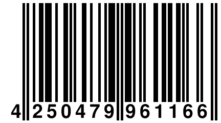4 250479 961166
