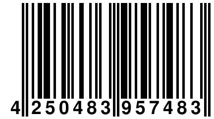 4 250483 957483