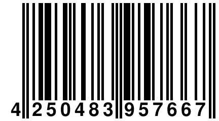 4 250483 957667