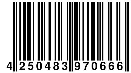 4 250483 970666