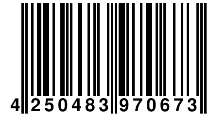 4 250483 970673