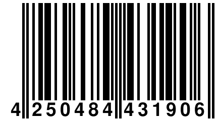 4 250484 431906