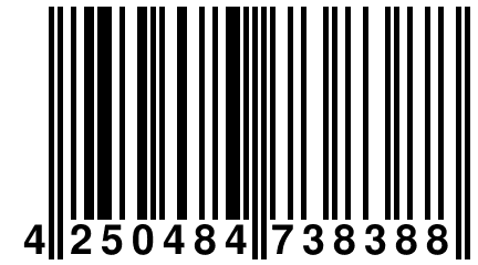4 250484 738388