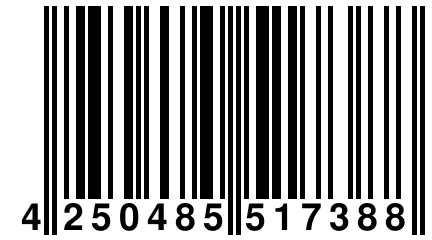 4 250485 517388