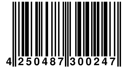4 250487 300247
