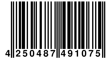 4 250487 491075