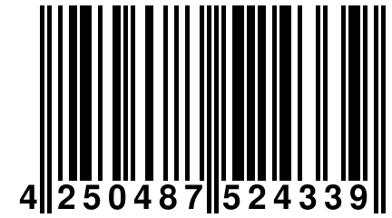 4 250487 524339