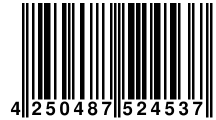 4 250487 524537