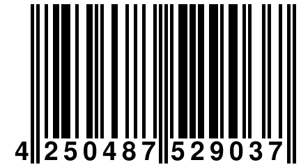 4 250487 529037