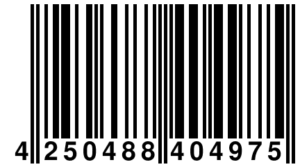 4 250488 404975