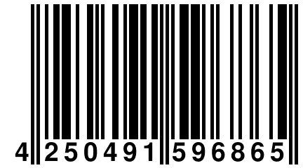 4 250491 596865