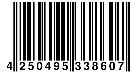 4 250495 338607