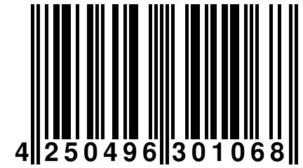 4 250496 301068