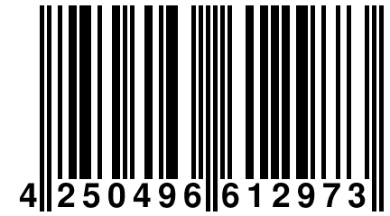 4 250496 612973