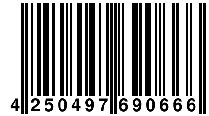 4 250497 690666