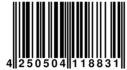 4 250504 118831