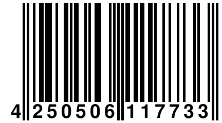 4 250506 117733
