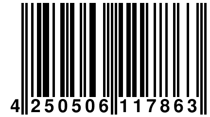 4 250506 117863