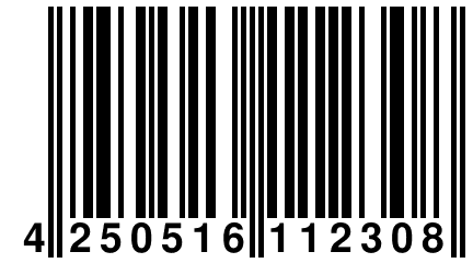 4 250516 112308