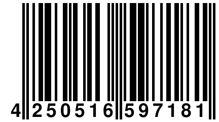 4 250516 597181