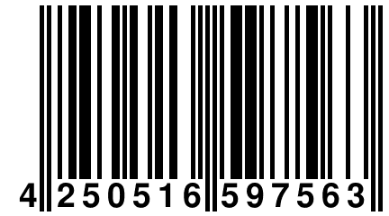 4 250516 597563